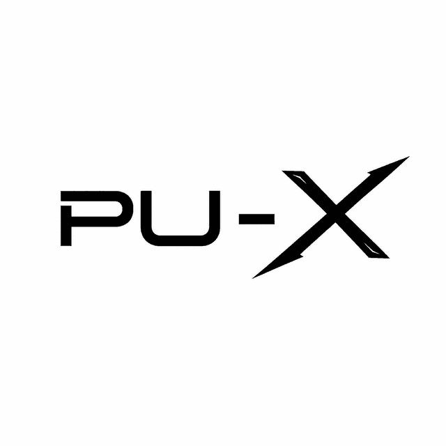 Parallel Universe X Emblem